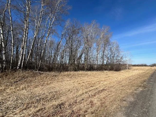 $245,000 | Xxx Dove Road, Little Falls, MN 56345