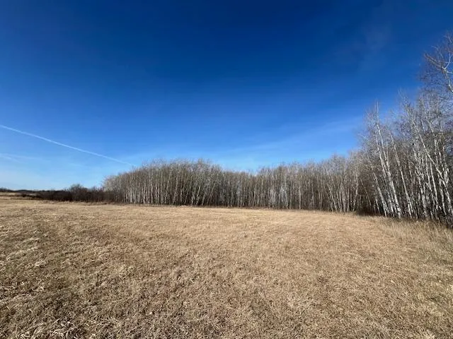 $245,000 | Xxx Dove Road, Little Falls, MN 56345