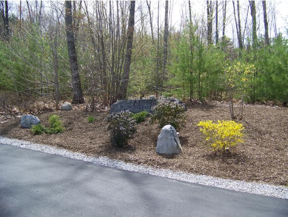 111 Nickelback Road Conway, NH 03813 - Photo 2 of 20