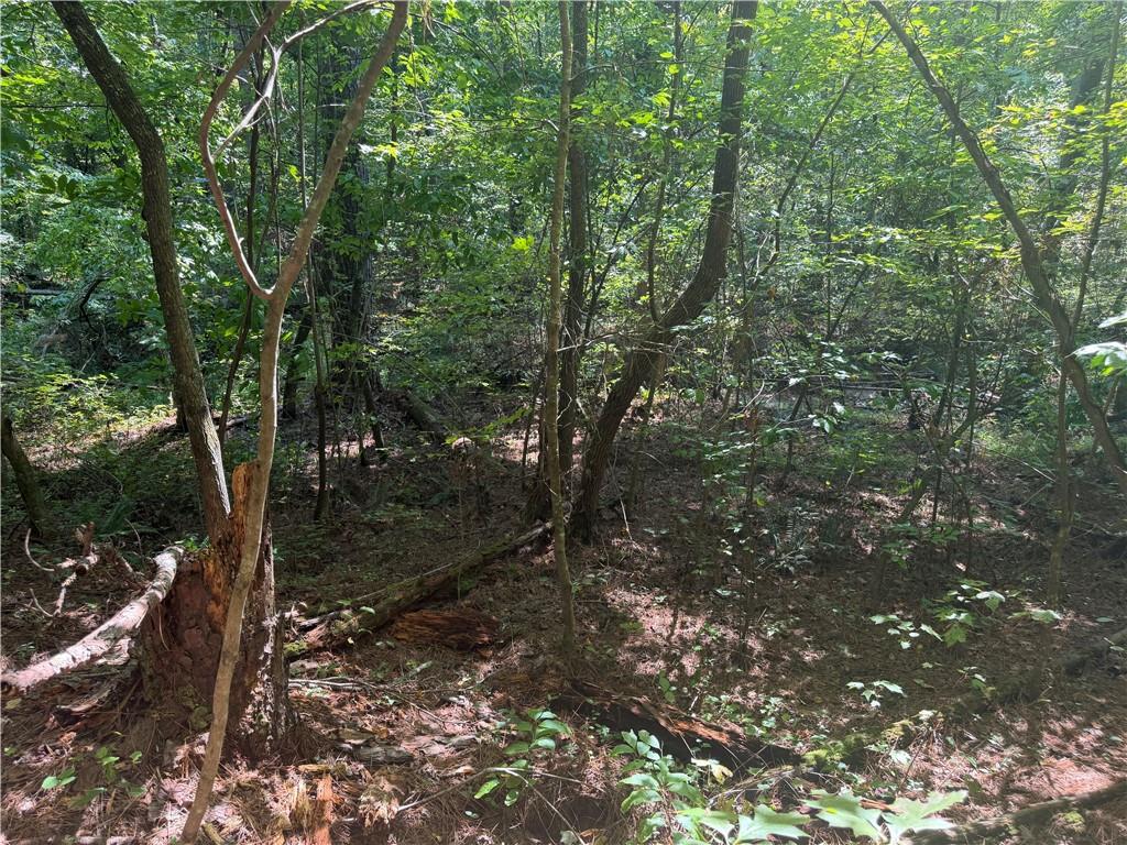 32 Mission Hill Road Ellijay, GA 30540 - Photo 11 of 13 Gallery Image 11