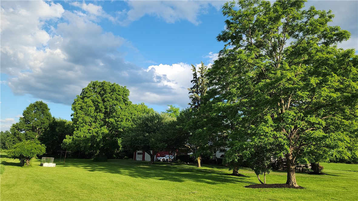 817 Pre Emption Road Benton, NY 14527 - Photo 47 of 49