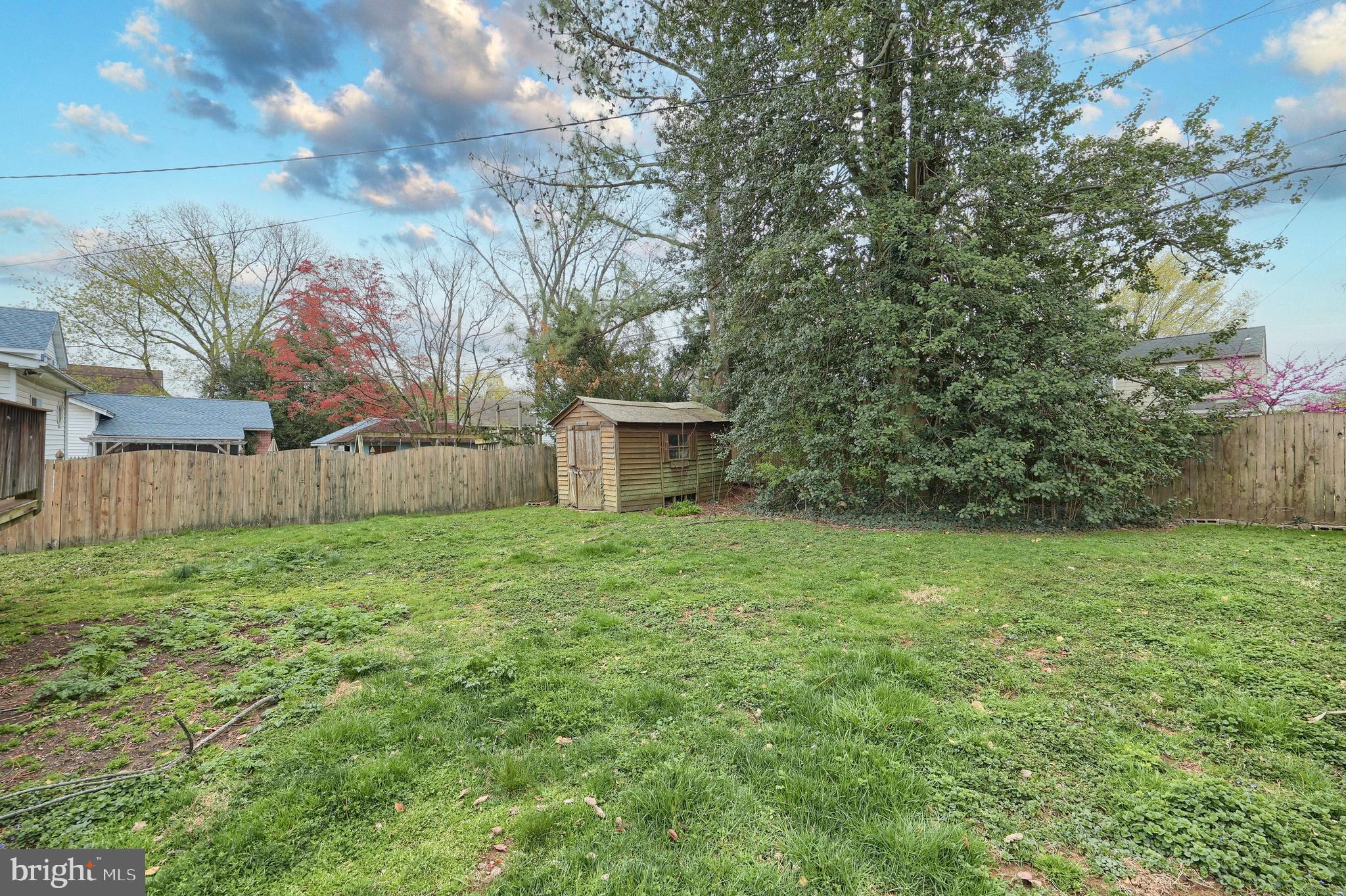 615 Dunkirk Road Baltimore, MD 21212 - Photo 31 of 45 a view of a yard with a tree