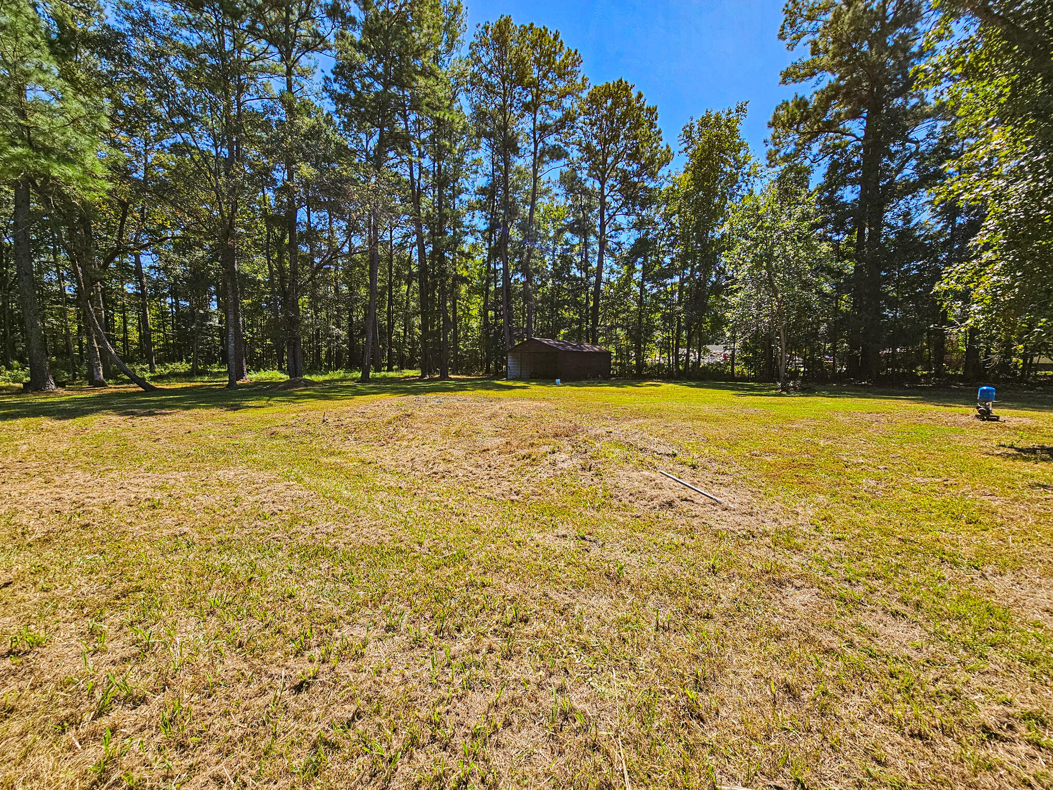 2650 Peirce Road Cottageville, SC 29435 - Photo 7 of 34