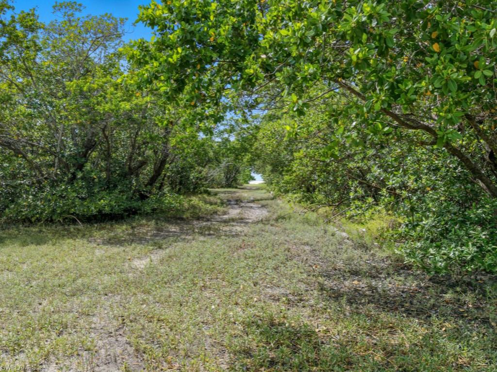Keewaydin Naples, FL 34113 - Photo 7 of 18 a view of a yard with a tree