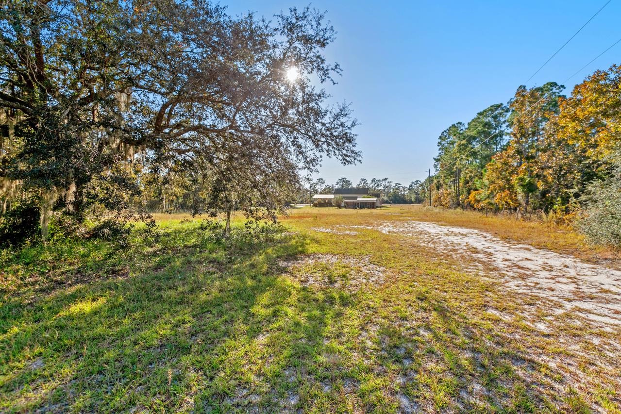 979 Lakeview Point Road Quincy, FL 32351 - Photo 41 of 42 Gallery Image 41