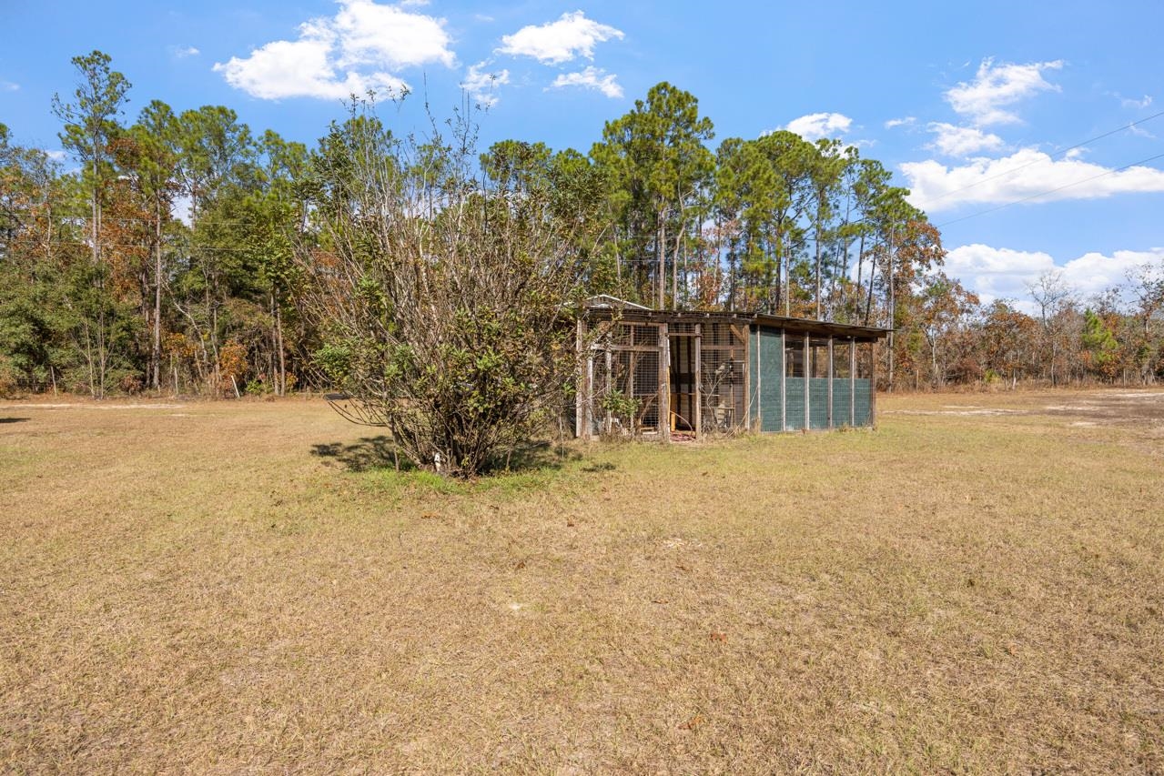 979 Lakeview Point Road Quincy, FL 32351 - Photo 7 of 42 Gallery Image 7