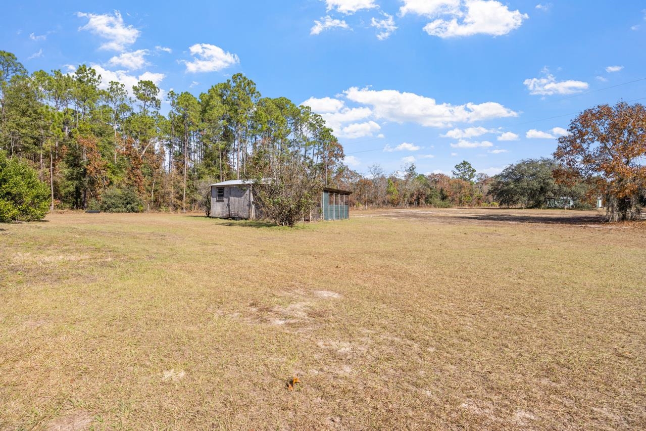 979 Lakeview Point Road Quincy, FL 32351 - Photo 9 of 42 Gallery Image 9