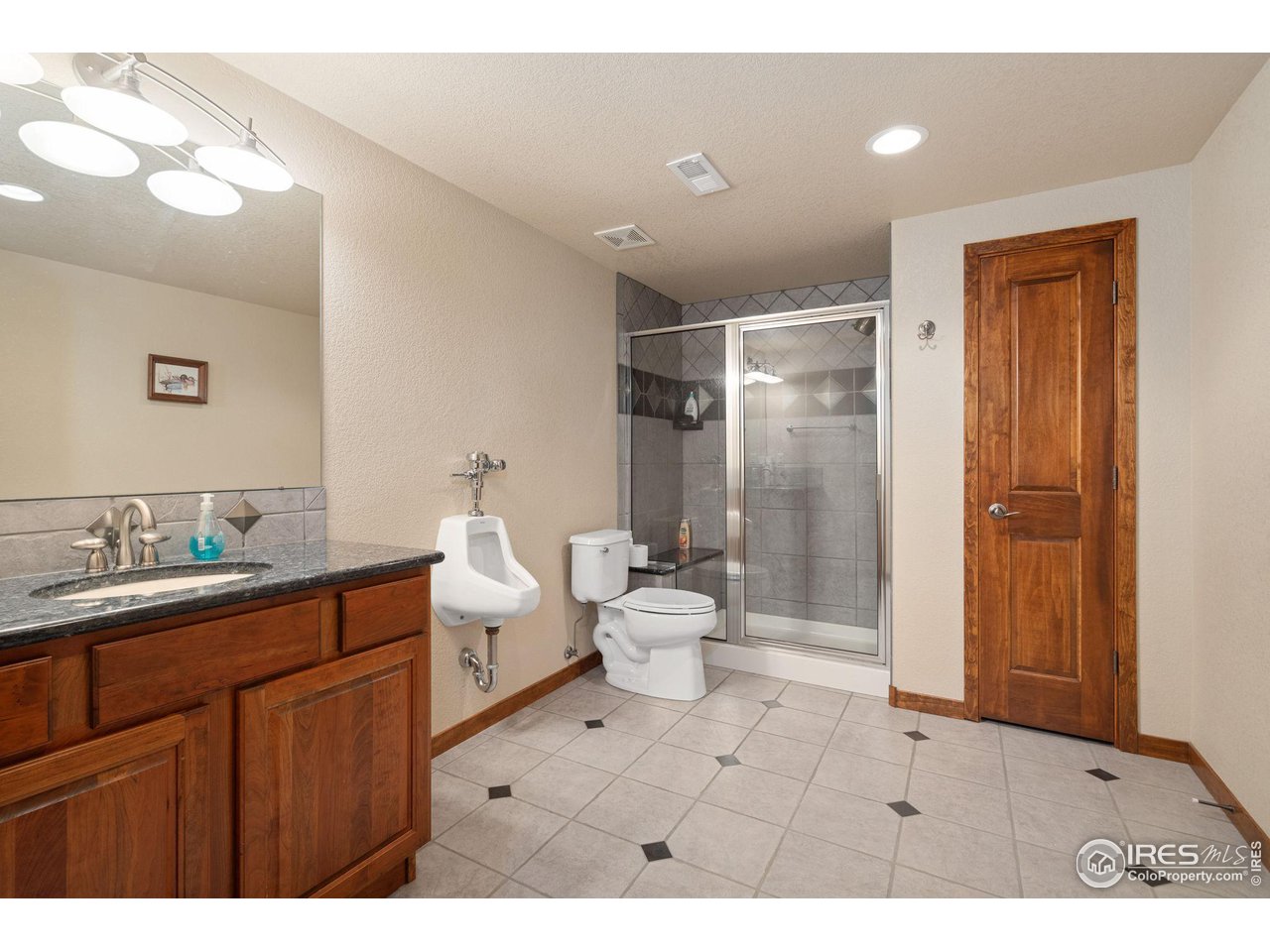 6564 Half Moon Bay Drive Windsor, CO 80550 - Photo 17 of 28 a bathroom with a sink mirror toilet and shower