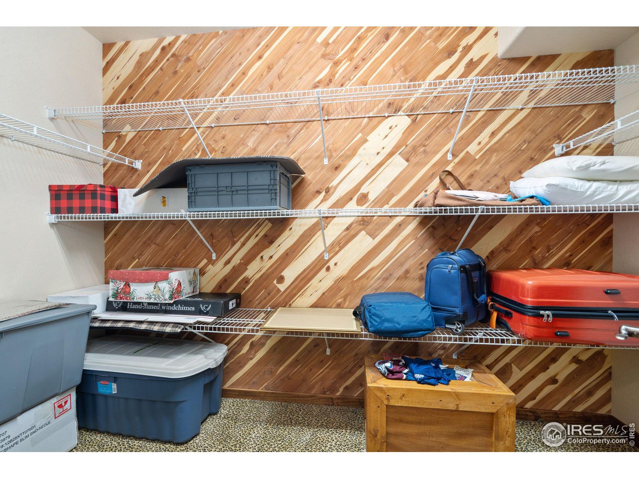 6564 Half Moon Bay Drive Windsor, CO 80550 - Photo 20 of 28 a view of outdoor space