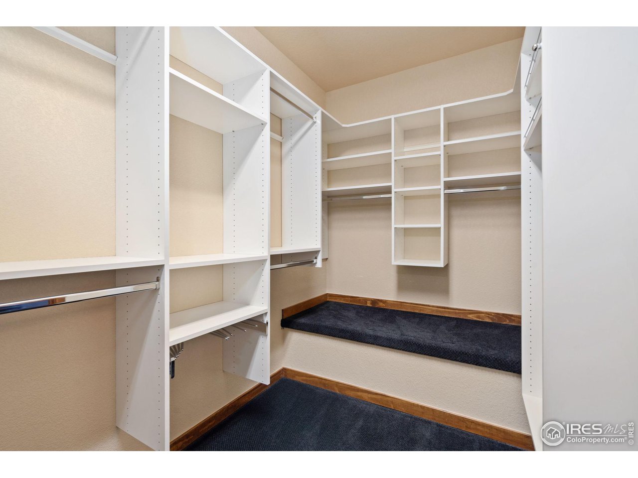 6564 Half Moon Bay Drive Windsor, CO 80550 - Photo 21 of 28 a view of walk in closet with empty racks