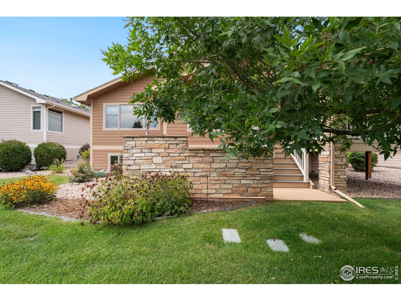 6564 Half Moon Bay Drive Windsor, CO 80550 - Photo 26 of 28 a view of a backyard with plants and large tree
