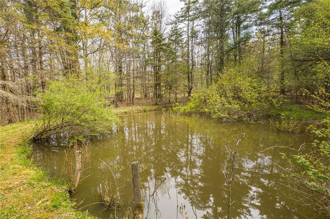 6057 Gulick Road Naples, NY 14512 - Photo 10 of 19