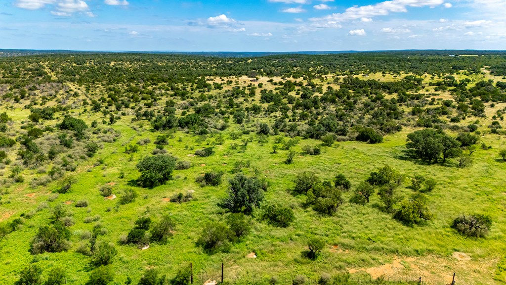 0 Jack Rabbit Road Doss, TX 78618 - Photo 10 of 20