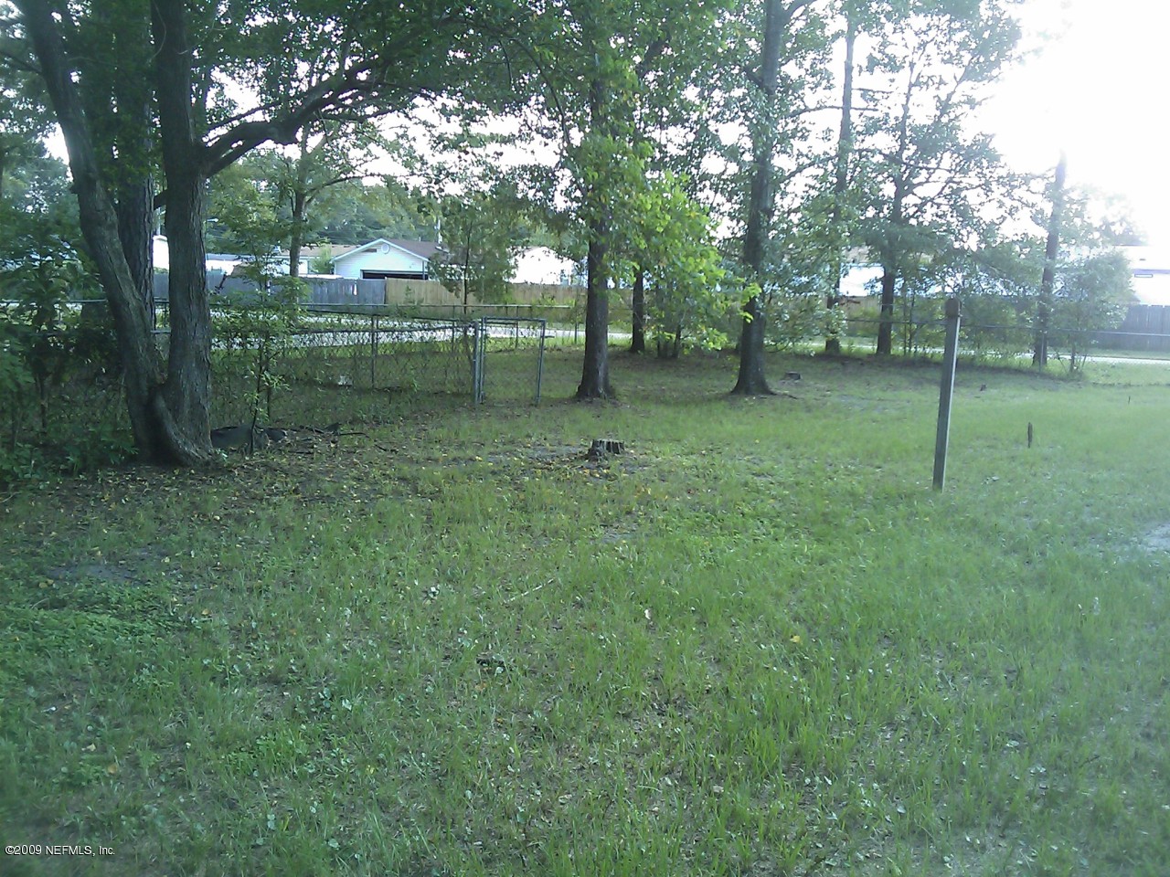 8676 Hilma Road Jacksonville, FL 32244 - Photo 5 of 6 Rear of Property
