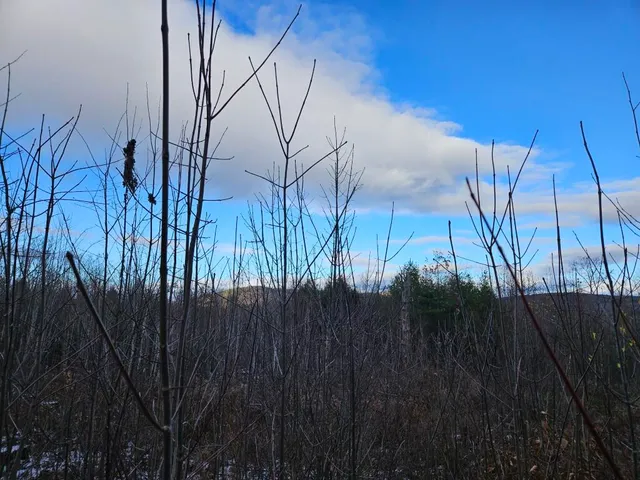 $89,900 | L52 Bridgton Road, Harrison, ME 04040