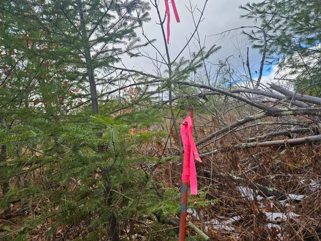 $89,900 | L52 Bridgton Road, Harrison, ME 04040