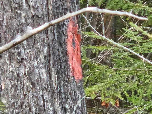 $89,900 | L52 Bridgton Road, Harrison, ME 04040