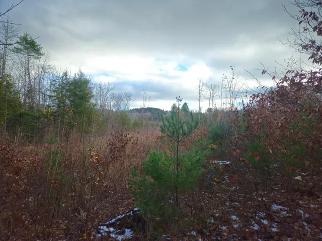 $89,900 | L52 Bridgton Road, Harrison, ME 04040