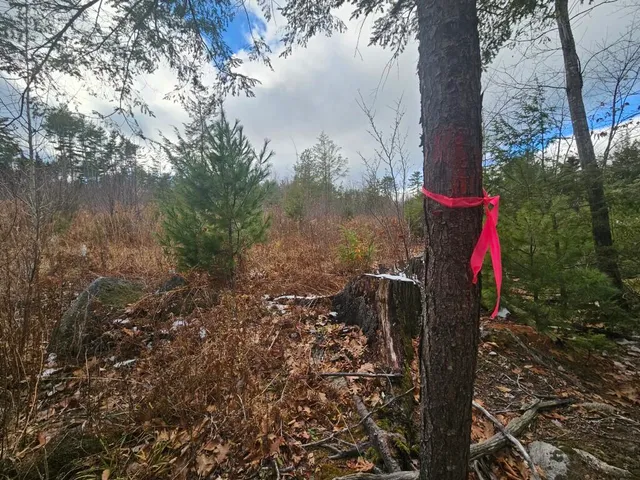 $89,900 | L52 Bridgton Road, Harrison, ME 04040