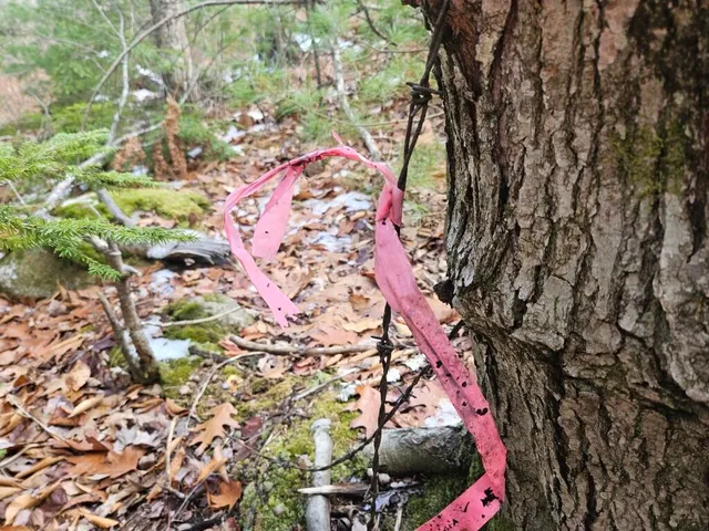 $89,900 | L52 Bridgton Road, Harrison, ME 04040