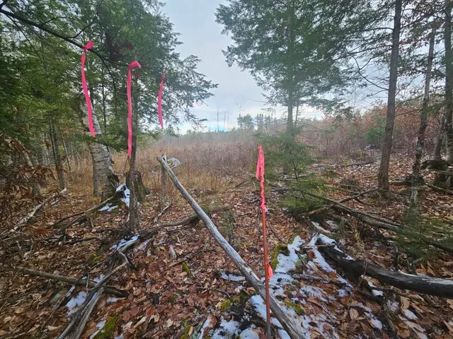 $89,900 | L52 Bridgton Road, Harrison, ME 04040