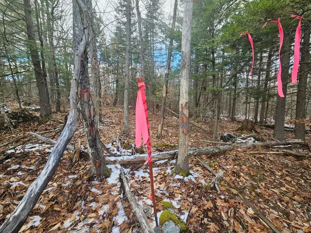 $89,900 | L52 Bridgton Road, Harrison, ME 04040