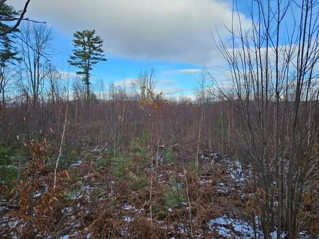 $89,900 | L52 Bridgton Road, Harrison, ME 04040