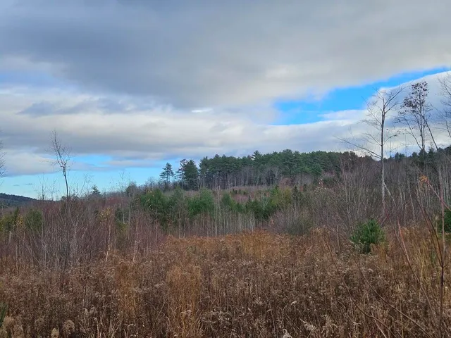 $89,900 | L52 Bridgton Road, Harrison, ME 04040