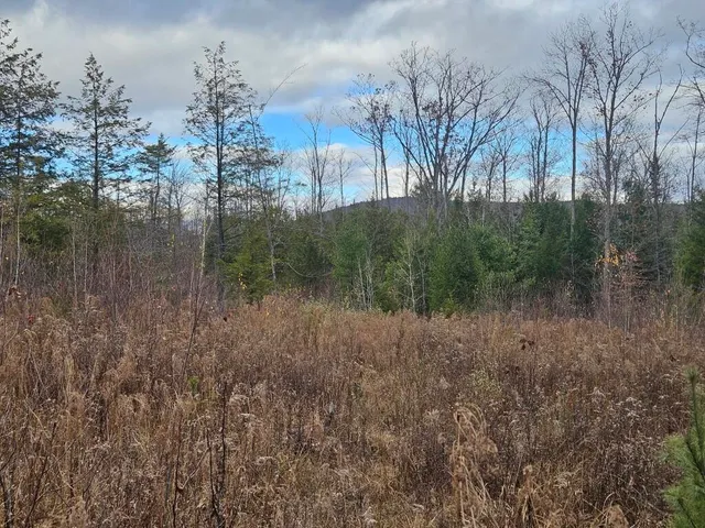 $89,900 | L52 Bridgton Road, Harrison, ME 04040