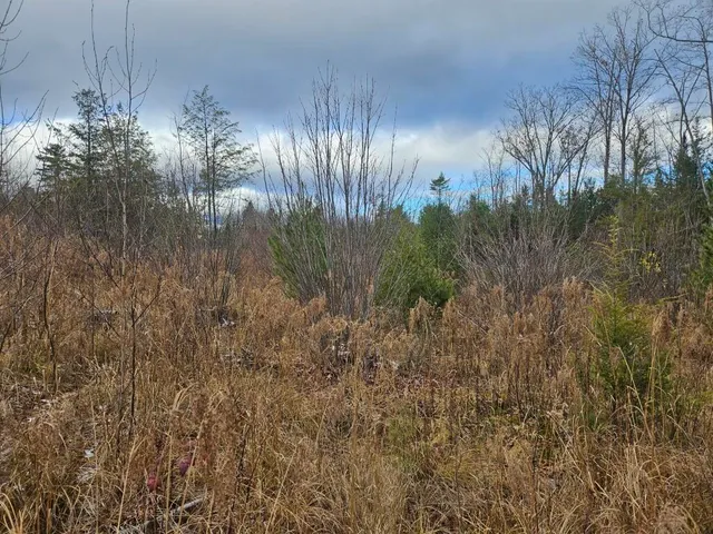 $89,900 | L52 Bridgton Road, Harrison, ME 04040