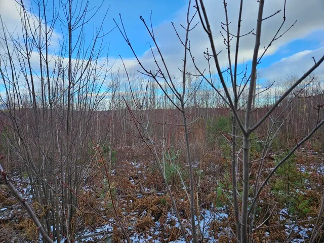 $89,900 | L52 Bridgton Road, Harrison, ME 04040