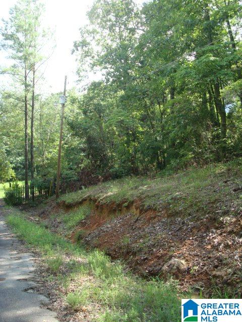 Evans Road Piedmont, AL 36272 - Photo 7 of 8
