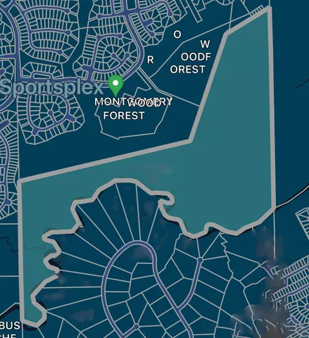 $2,990,000 | 110 Cadence Court, Montgomery, TX 77316