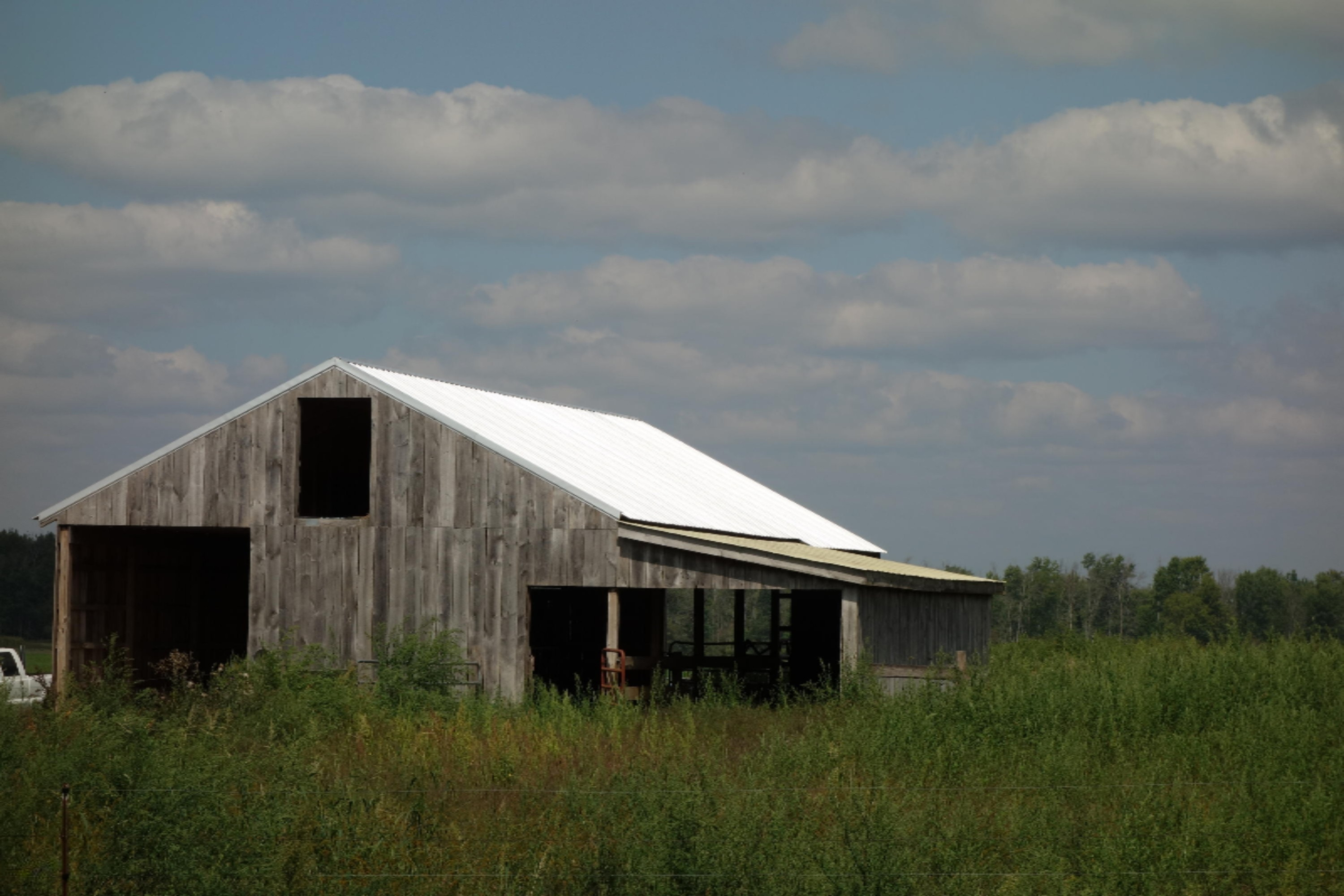 8177 8 Mile Road Hesperia, MI 49421 - Photo 31 of 33 DSC02047