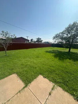 a view of a field with an ocean