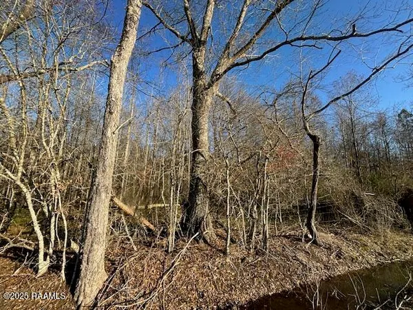 $140,000 | Heard Sylvester Road, Washington, LA 70589