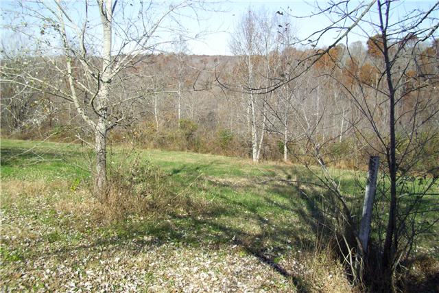3540 Fly Road Santa Fe, TN 38482 - Photo 8 of 10