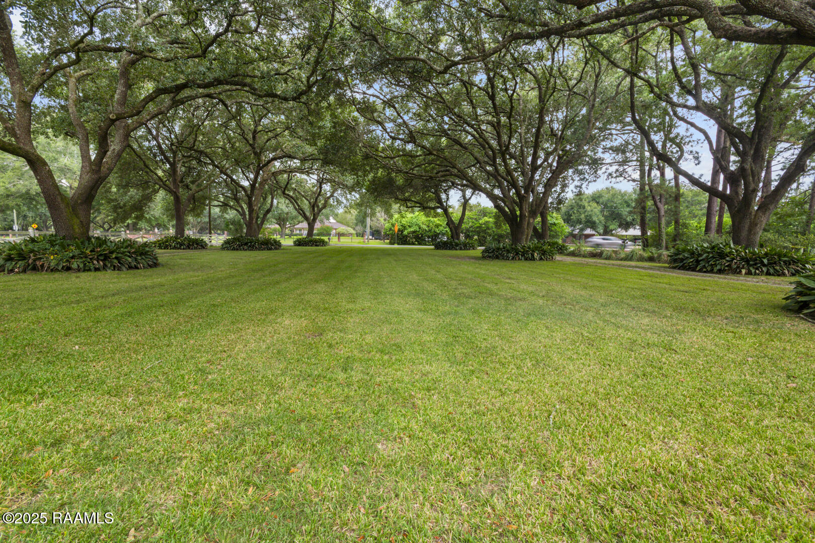 1765 Duchamp Road Broussard, LA 70518 - Photo 4 of 24 DSC_0041