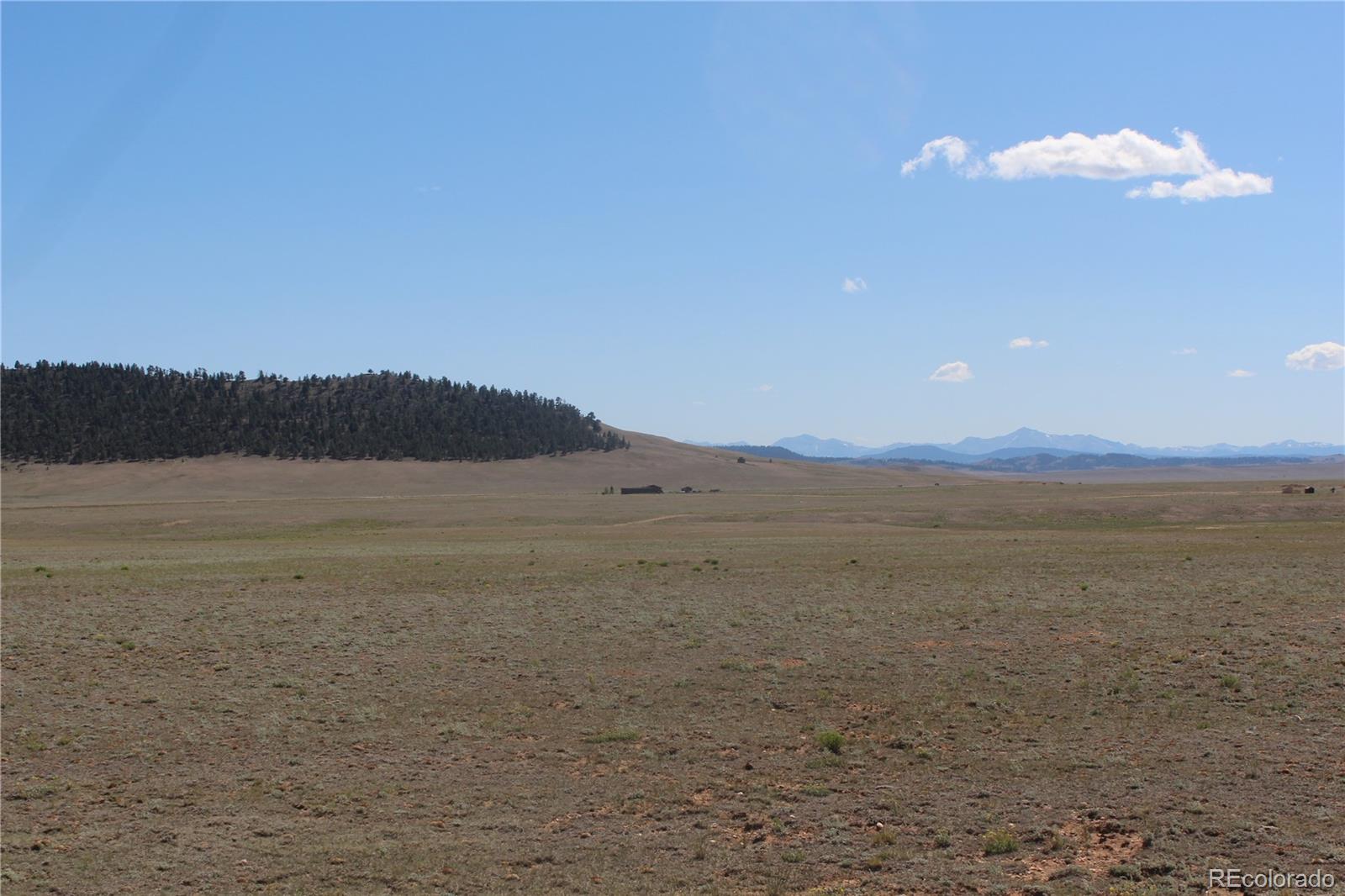 7496 Routt Road Hartsel, CO 80449 - Photo 3 of 9 Gallery Image 3