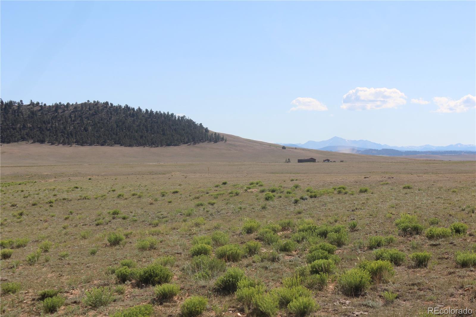 7496 Routt Road Hartsel, CO 80449 - Photo 7 of 9 Gallery Image 7