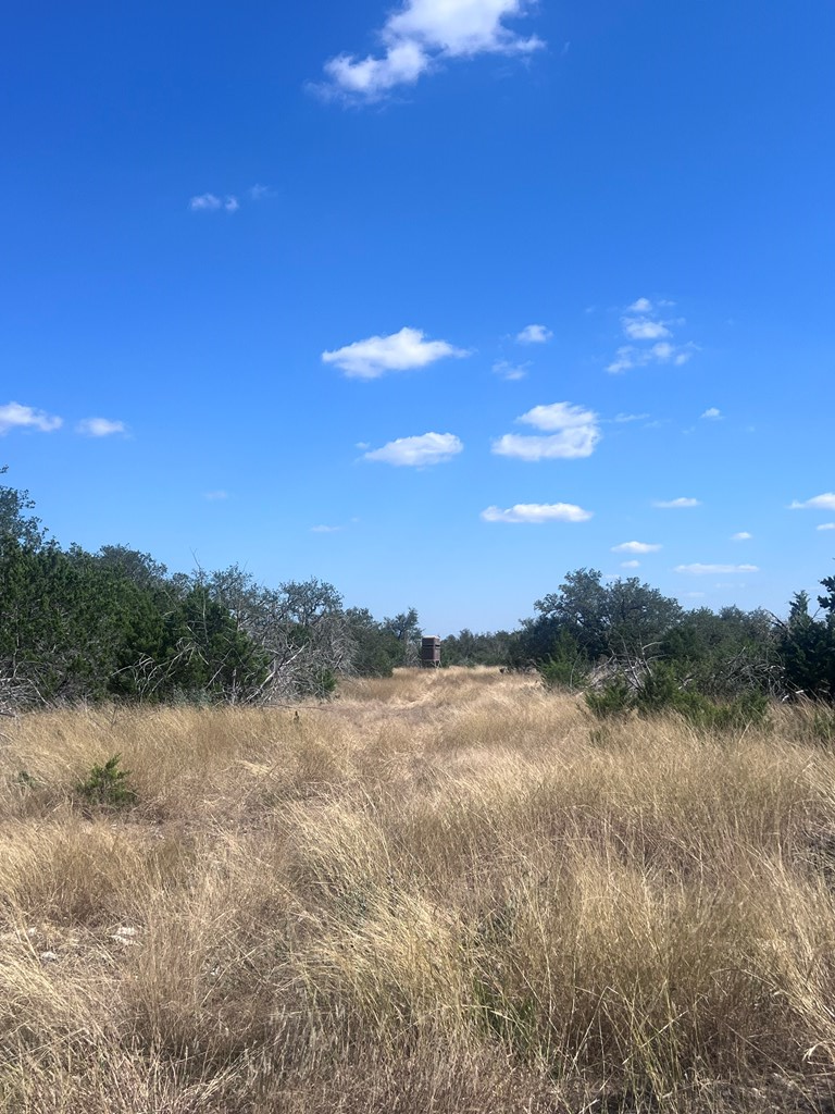 0 Fairview Road Rocksprings, TX 78880 - Photo 9 of 26