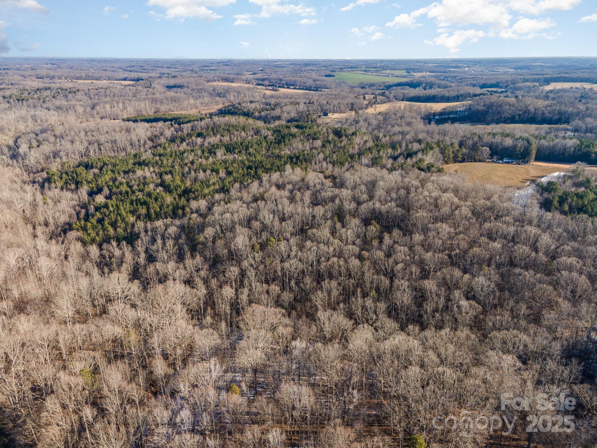 0 Dunlap Gate Road Statesville, NC 28625 - Photo 4 of 9 Gallery Image 4