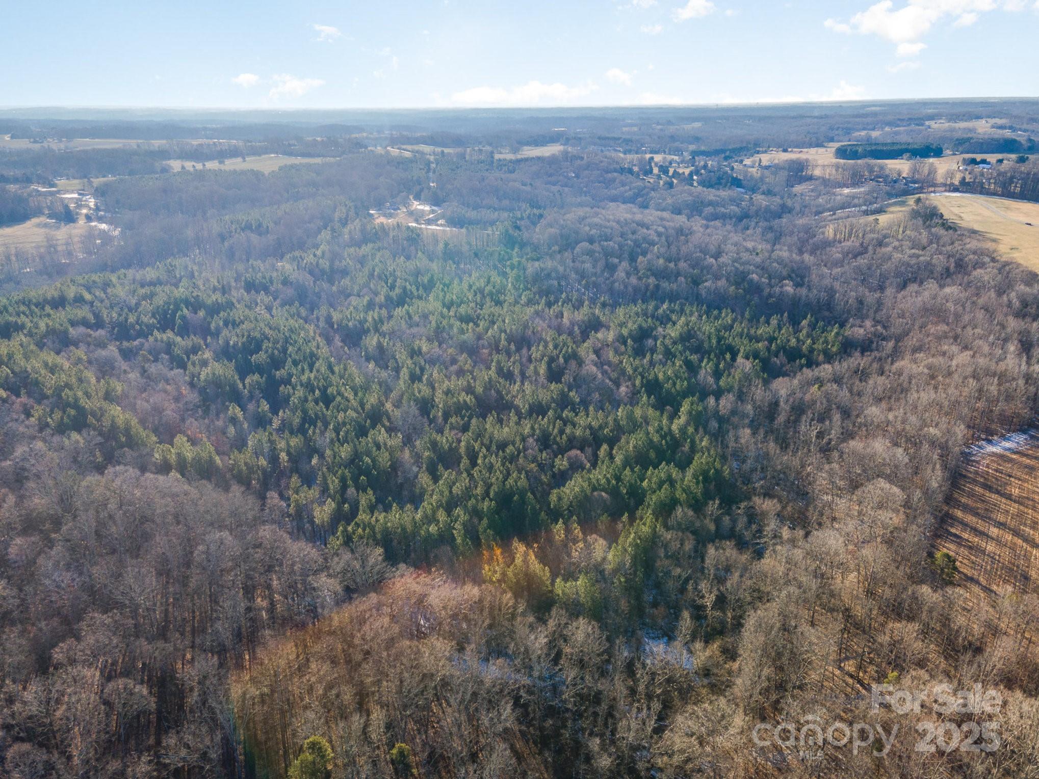 0 Dunlap Gate Road Statesville, NC 28625 - Photo 6 of 9 Gallery Image 6