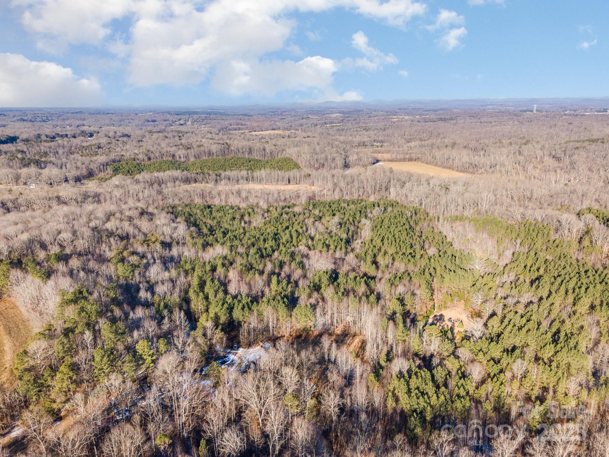 0 Dunlap Gate Road Statesville, NC 28625 - Photo 8 of 9 Gallery Image 8