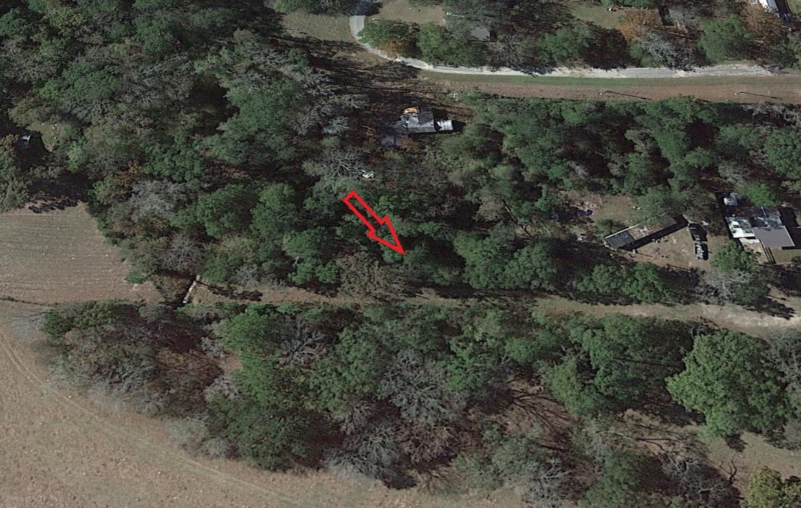 0 Ellerbe Drive Onalaska, TX 77360 - Photo 12 of 13 a view of a forest with a tree