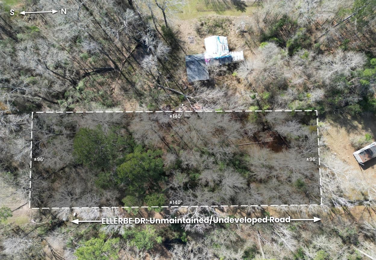 0 Ellerbe Drive Onalaska, TX 77360 - Photo 3 of 13 a view of outdoor space and covered with green space