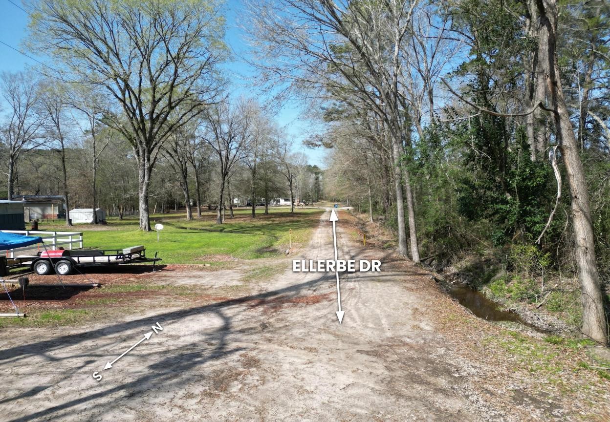 0 Ellerbe Drive Onalaska, TX 77360 - Photo 7 of 13 a view of a street with of the trees