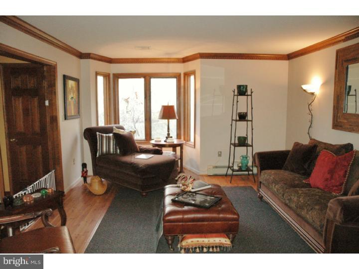 219 Locktown Sergeants Road Stockton, NJ 08559 - Photo 3 of 23 Gallery Image 3