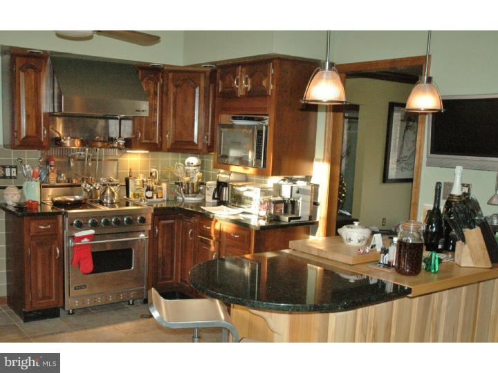 219 Locktown Sergeants Road Stockton, NJ 08559 - Photo 6 of 23 Gallery Image 6