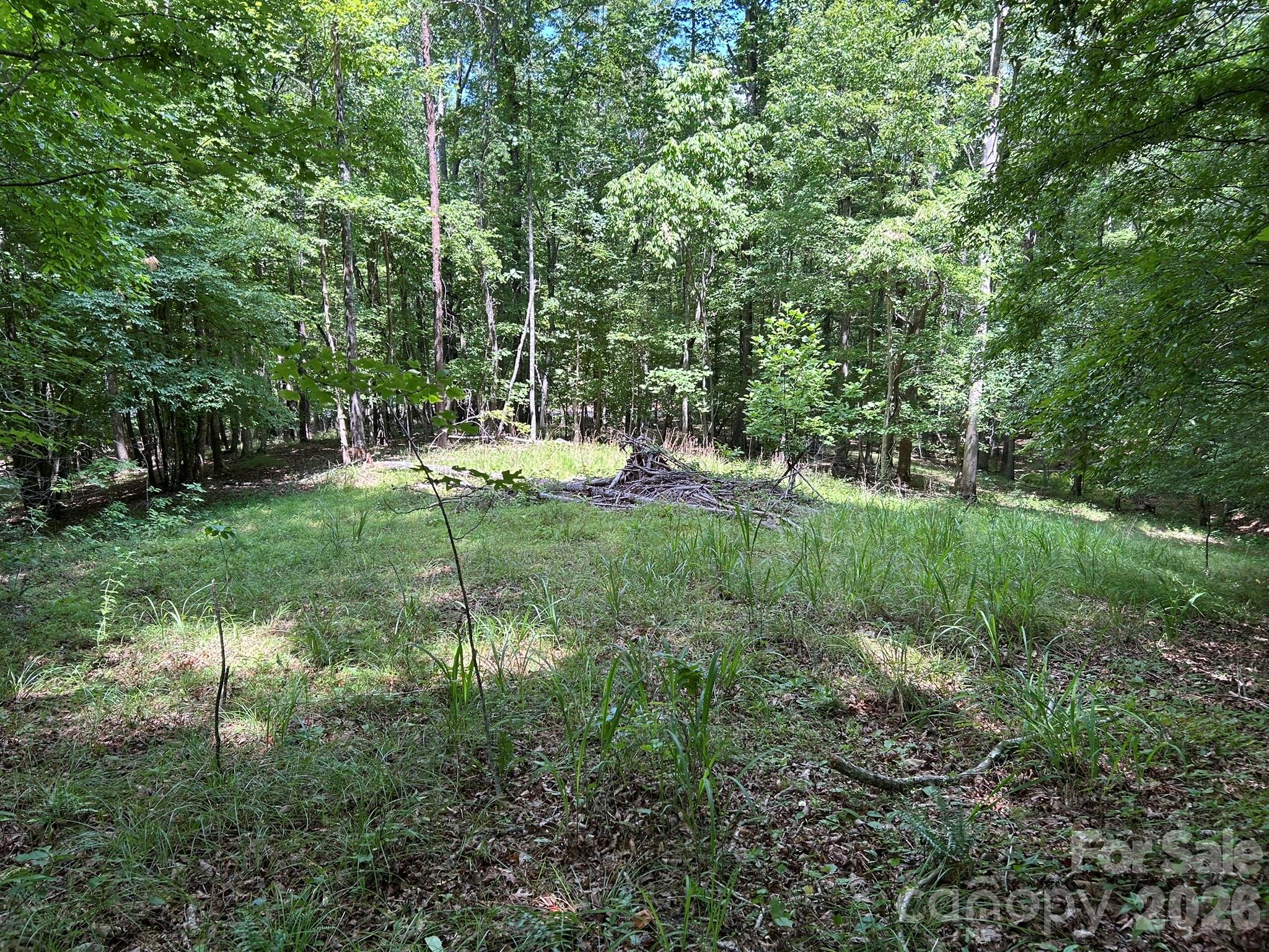 0 Wilderness Ridge, Unit 4 Rutherfordton, NC 28139 - Photo 8 of 11